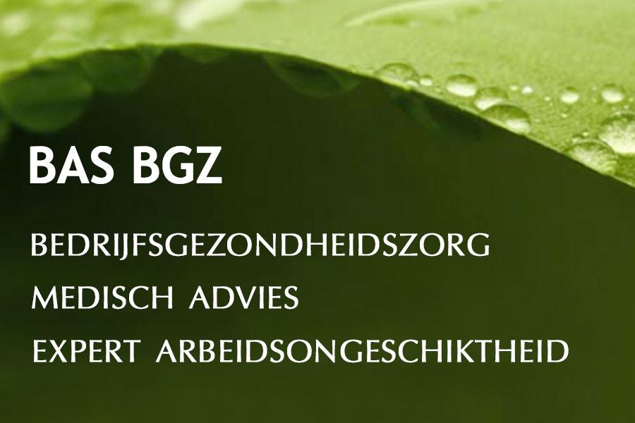 basbgz900x600